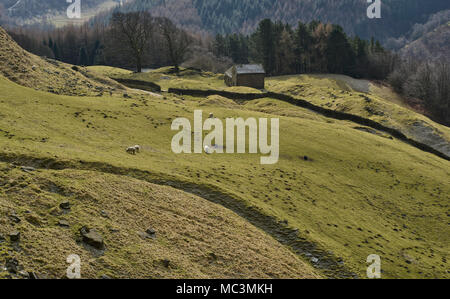 Bell Hagg Scheune, der Peak District, England (15) Stockfoto