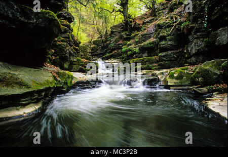 Wasserfälle, Clydach Schlucht, Gwent, Wales, UK, GB. Stockfoto