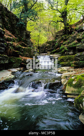 Wasserfälle, Clydach Schlucht, Gwent, Wales, UK, GB. Stockfoto