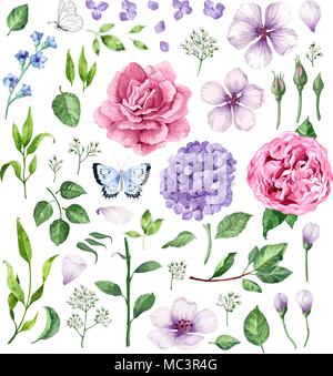 Große Blumen Rosen, Hortensien, Apfelbaum, Blumen, Blätter, Blüten und Schmetterlinge auf weißem Hintergrund. Stock Vektor