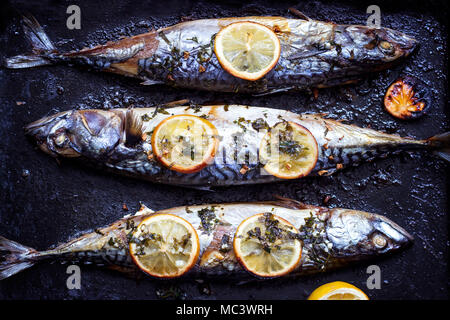 Frisch gebackene Makrele Fisch, mit Zitrone und Würzen, auf Backblech Stockfoto