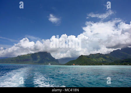 Kreuzfahrtschiff vor Anker gegangen der Küste von Mo'Orea, einer der Windward Islands & Gesellschaft Islands, Französisch-Polynesien, South Pacific. Stockfoto