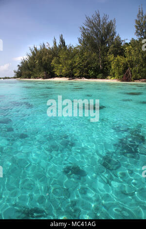 Tropischen Küste von Moorea mit türkisfarbenem Wasser, schöne Inseln, Französisch Polynesien, Südsee. Stockfoto