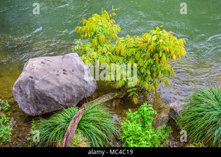 Hangzhou, Hangzhou, China. 12 Apr, 2018. Hangzhou, China 12. April 2018: Landschaft von Taiziwan Park im Osten von China Hangzhou, Provinz Zhejiang. Credit: SIPA Asien/ZUMA Draht/Alamy leben Nachrichten Stockfoto