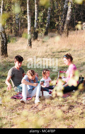 Familie Urlaub verbringen die Zeit zusammen mit einem Snacks auf ein Picknick sitzen auf Decke auf Gras im Wald an einem sonnigen Tag im Sommer Stockfoto