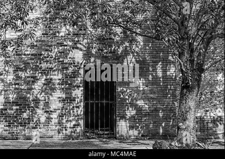 Schwarz und Weiß von Backstein Gebäude mit schmiedeeisernen Eingangstor und einen Baum. Stockfoto