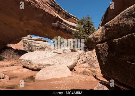 Natural Bridges National Monument in Utah Natural Bridges National Monument in Utah Stockfoto