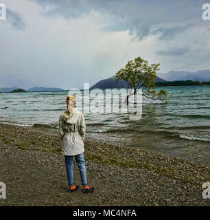 Der berühmte Baum, Wanaka Lake Wanaka, Neuseeland Stockfoto