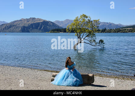 Der berühmte Baum, Wanaka Lake Wanaka, Neuseeland Stockfoto