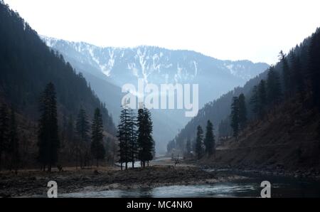 Tannen am Fluss Bett mit Schnee bedeckte Berge im Hintergrund - Kaschmir Landschaft Stockfoto