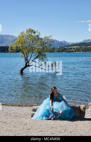 Der berühmte Baum, Wanaka Lake Wanaka, Neuseeland Stockfoto