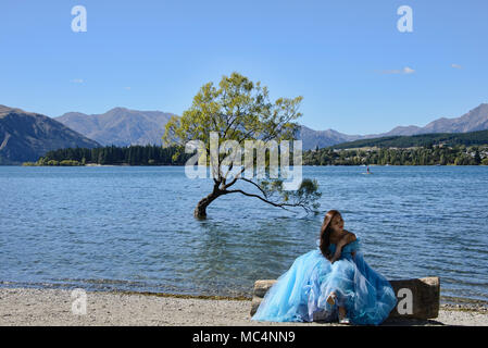 Der berühmte Baum, Wanaka Lake Wanaka, Neuseeland Stockfoto