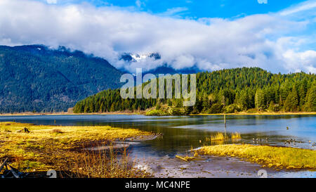 Pitt See mit den schneebedeckten Gipfeln des Goldenen Ohren gellen Peak und anderen Gipfeln der umliegenden Coast Mountains Stockfoto