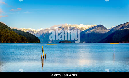 Pitt See mit den schneebedeckten Gipfeln des Goldenen Ohren gellen Peak und anderen Gipfeln der umliegenden Coast Mountains Stockfoto