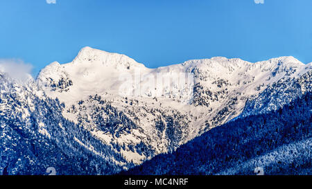 Die schneebedeckten Gipfel das Kribbeln Gipfeln und anderen Berggipfel der Coast Mountain Range vom Ufer des Pitt See im Fraser Valley von B gesehen Stockfoto