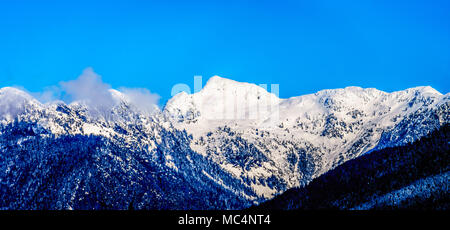 Die schneebedeckten Gipfel das Kribbeln Gipfeln und anderen Berggipfel der Coast Mountain Range vom Ufer des Pitt See im Fraser Valley von B gesehen Stockfoto