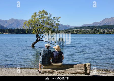Der berühmte Baum, Wanaka Lake Wanaka, Neuseeland Stockfoto