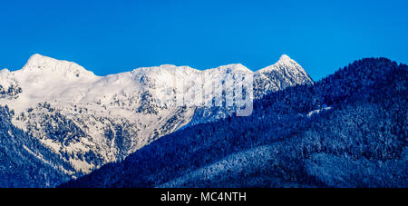 Die schneebedeckten Gipfel das Kribbeln Gipfeln und anderen Berggipfel der Coast Mountain Range vom Ufer des Pitt See im Fraser Valley von B gesehen Stockfoto