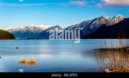 Pitt See mit den schneebedeckten Gipfeln des Goldenen Ohren gellen Peak und anderen Gipfeln der umliegenden Coast Mountains Stockfoto