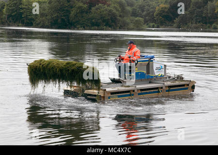 3 Truxor amphibischen Maschine für die Sammlung und Erfassung der aquatischen Unkräuter in Betrieb bei Trentham Gardens, Stoke-on-Trent Stockfoto