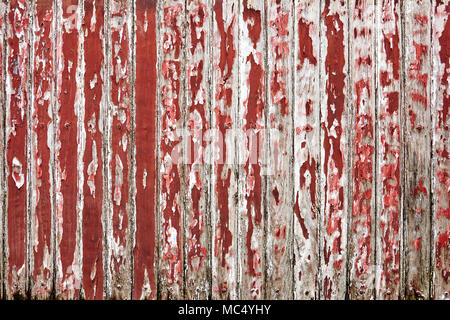 Die alte hölzerne Wand gemalt mit dunkelroten Farbe Risse, Peeling und offenbart die Spike Nagel und rustikalem Holz Textur. Stockfoto