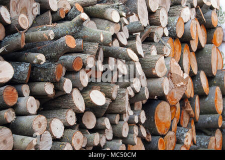 Woodpile Brennholz, häufte mit Kreisen liegt ein großer Haufen. Die vernähung Holz Kraftstoff für den Herd Stockfoto