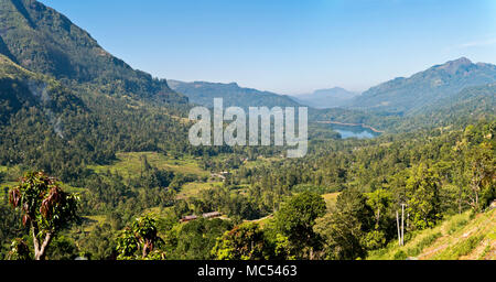 Horizontale Panoramablick auf die Ramboda Oya Tal in Nuwara Eliya, Sri Lanka. Stockfoto