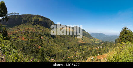 Horizontale Panoramablick auf die Ramboda Oya Tal in Nuwara Eliya, Sri Lanka. Stockfoto