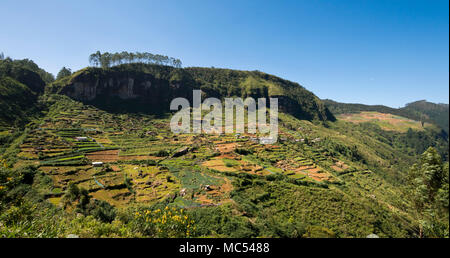 Horizontale Panoramablick auf die Ramboda Oya Tal in Nuwara Eliya, Sri Lanka. Stockfoto