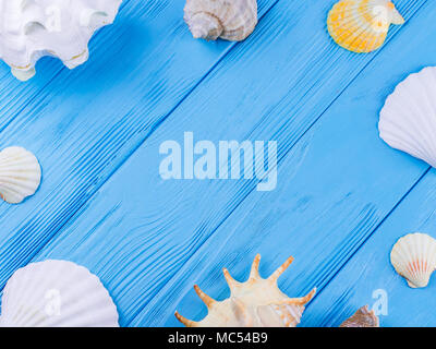 Verschiedene Arten von Muscheln Rahmen auf Blue vintage shabby Holz Tisch. Sommer Meer Ferienhäuser Hintergrund mit Seesternen und rapana Stockfoto