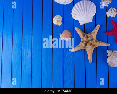 Verschiedene Arten von Muscheln Rahmen auf Blue vintage shabby Holz Tisch. Sommer Meer Ferienhäuser Hintergrund mit Seestern Stockfoto