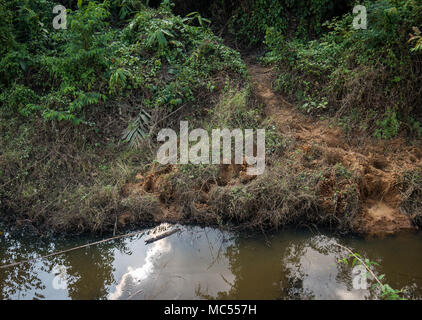 Elefant Titel aus einem letzten Ansturm bleiben in einem Kanal nach dem Versuch, es zu Ernten der Ban Na Isan Dorf in Chachaoengsao, Königreich Thailand, Jan. 31, 2018 zu machen. Beide Royal Thai und US-Streitkräfte beobachtet die Bemühungen, die von den Dorfbewohnern gemacht Zukunft Elefant stampedes zu verhindern und spendete mehrere Säcke mit Reis und Kartoffeln für das Dorf. Übung Cobra Gold 2018 ist eine jährliche Übung im Königreich Thailand durchgeführt und läuft vom 13-23 Februar mit bis zu neun Nationen teilnehmen. (U.S. Marine Corps Foto von Sgt. Matthew J. Bragg) Stockfoto