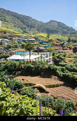 Vertikale Ansicht von einem kleinen Dorf in den Teeplantagen in Nuwara Eliya, Sri Lanka. Stockfoto