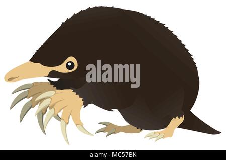 Mole Tier design Element, Farbe vektor Cartoon Illustration horizontal Stock Vektor