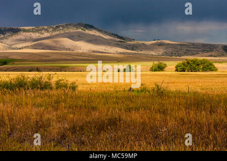 Light Before a Storm auf Farmen im Südwesten von Montana mit der Gallatin-Bergkette und dem Nationalwald in der Ferne. Getreide- und Heuanbau Stockfoto