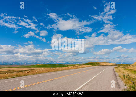 Scenic Drive in Montana, Butte, Montana und Glacier National Park im Nordwesten von Montana. Keine Bäume für Meilen und Landschaften der heufelder. Stockfoto