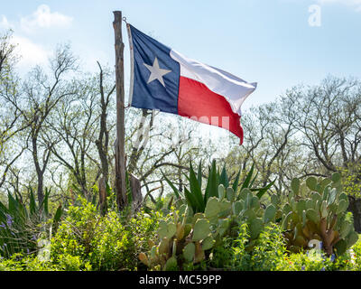 Texas Flag auf den Wind mit Kakteen auf der Sonnenterrasse Stockfoto