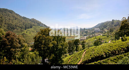 Horizontale Panoramablick auf in Nuwara Eliya, Sri Lanka. Stockfoto