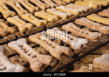 Hausgemachte und gesunden Kürbis Hund Knochen Cookies. Stockfoto