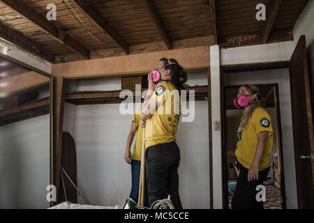 HUMACAO, Puerto Rico, 26. Januar 2018 - AmeriCorps Mitglieder überprüfen Sie den Zustand des Daches eines Hauses in Humacao entfernt. Die Freiwilligen Agenturen führen und organisieren Reparieren (VALOR) Programm in Partnerschaft mit FEMA bieten die Materialien und Personal provisorische Reparaturen, die Überlebenden nach Hause nach einer Naturkatastrophe Rückkehr zu machen. Eduardo Martinez/FEMA. Stockfoto