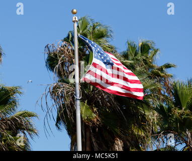 US Flag, Stars & Stripes, an einem Fahnenmast, flattern im Wind mit blauem Himmel und Palmen im Hintergrund Stockfoto