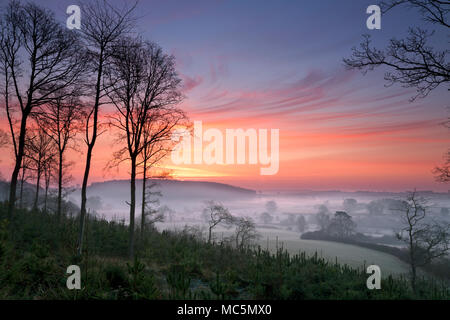 Ein roter Himmel und Nebel Clearing über frosty Felder in der Nähe von Hovingham Dorf in North Yorkshire UK Stockfoto