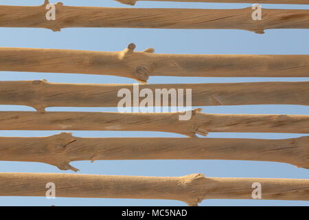 Holz Sticks mit Himmel im Hintergrund Stockfoto