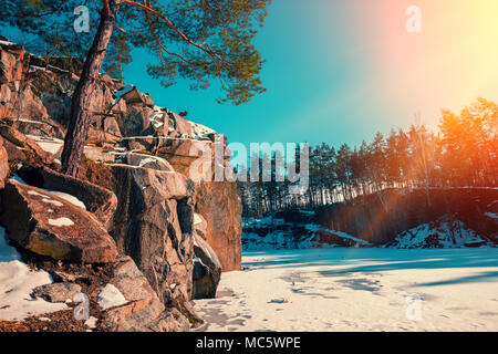 Winter Natur. Granit Rocky gefroren Seeufer. Granitsteinbruch in sonniger Tag. Kiefer wächst auf einem Felsen Stockfoto