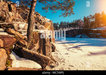 Winter Natur. Granit Rocky gefroren Seeufer. Granitsteinbruch in sonniger Tag. Kiefer wächst auf einem Felsen Stockfoto