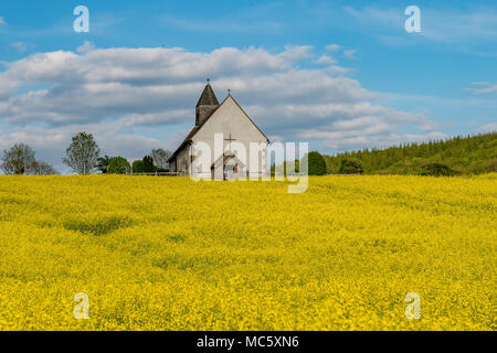 Die Kirche St. Hubert mit Rapspflanzen im Bereich: Idsworth-UK Stockfoto