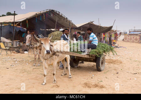 Ochsenkarren und drei Händler in der Pushkar Camel Fair, Rajasthan, Indien. Stockfoto