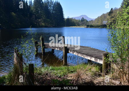 Loch Ard-Trossachs Schottland Stockfoto