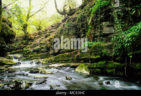 Wasserfälle, Clydach Schlucht, Gwent, Wales, UK, GB. Stockfoto