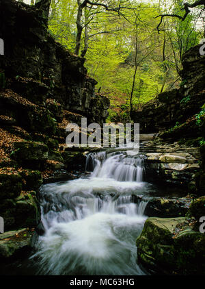 Wasserfälle, Clydach Schlucht, Gwent, Wales, UK, GB. Stockfoto